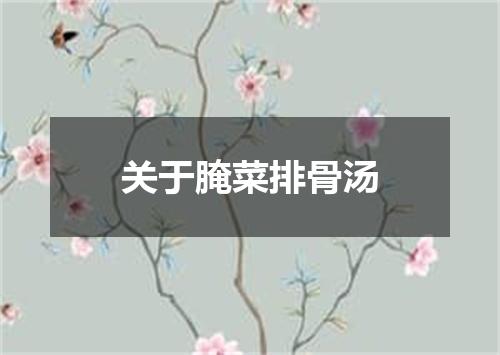关于腌菜排骨汤