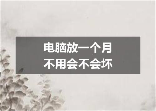 电脑放一个月不用会不会坏