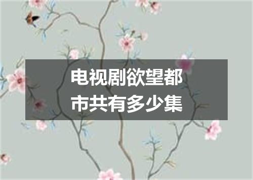 电视剧欲望都市共有多少集