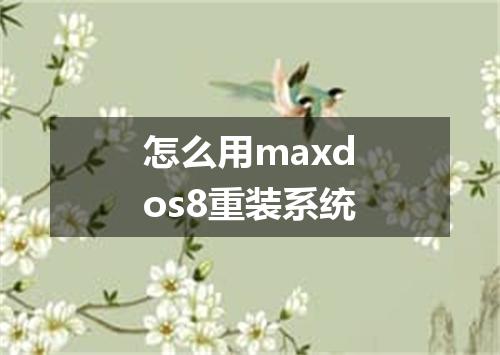 怎么用maxdos8重装系统