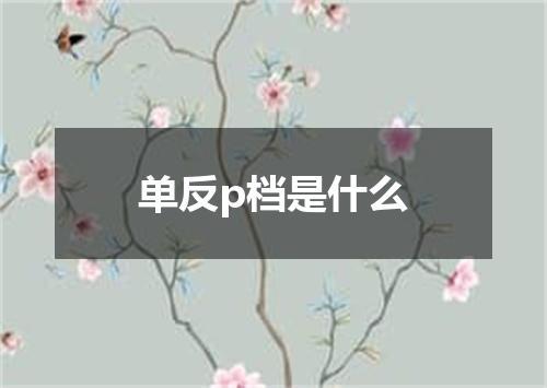 单反p档是什么