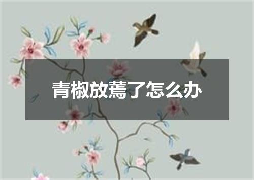 青椒放蔫了怎么办