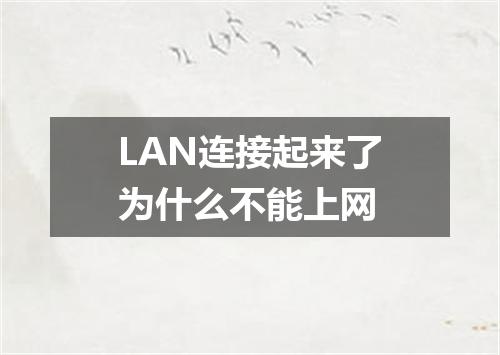 LAN连接起来了为什么不能上网