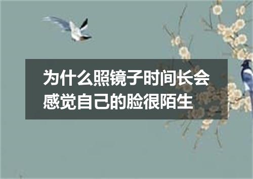 为什么照镜子时间长会感觉自己的脸很陌生