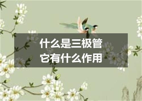 什么是三极管它有什么作用