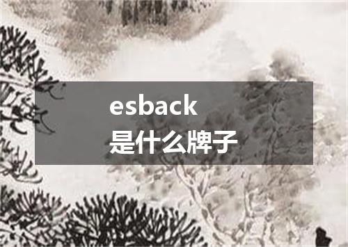 esback是什么牌子