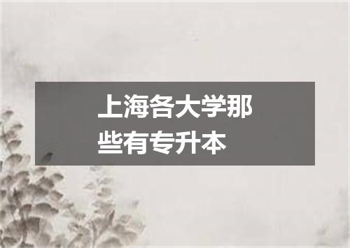 上海各大学那些有专升本