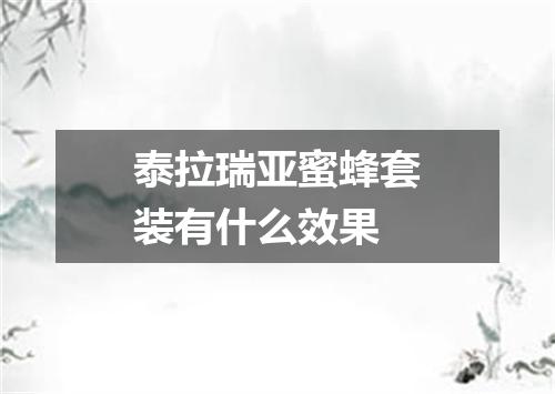 泰拉瑞亚蜜蜂套装有什么效果