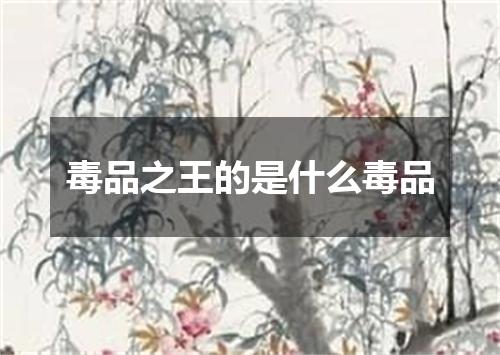 毒品之王的是什么毒品