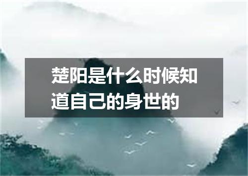 楚阳是什么时候知道自己的身世的