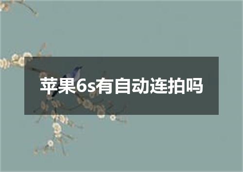 苹果6s有自动连拍吗
