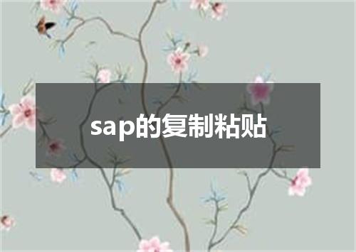sap的复制粘贴