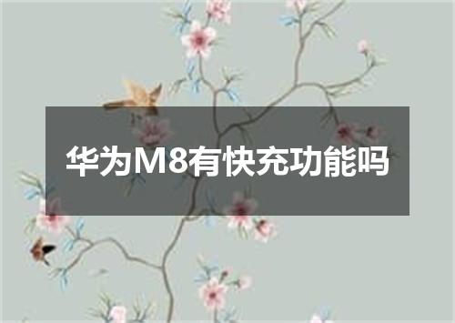 华为M8有快充功能吗