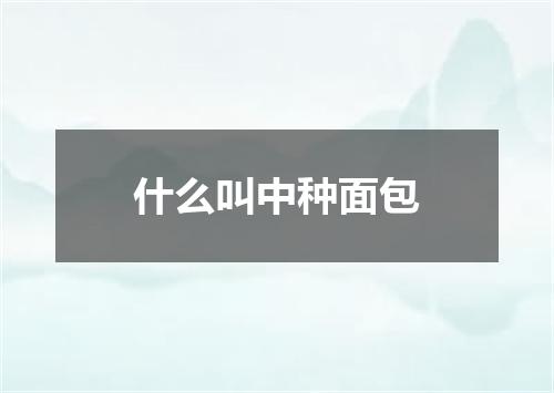 什么叫中种面包