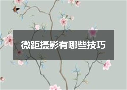 微距摄影有哪些技巧