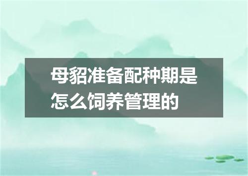 母貂准备配种期是怎么饲养管理的