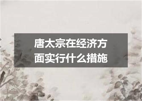 唐太宗在经济方面实行什么措施