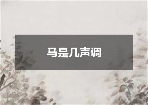 马是几声调