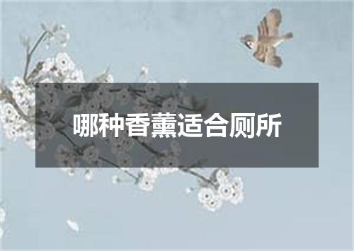 哪种香薰适合厕所