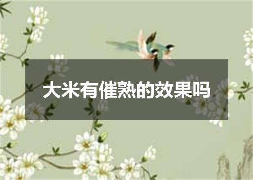 大米有催熟的效果吗