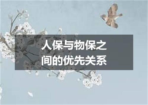 人保与物保之间的优先关系