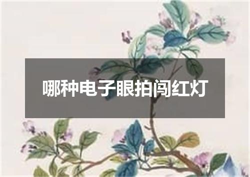 哪种电子眼拍闯红灯