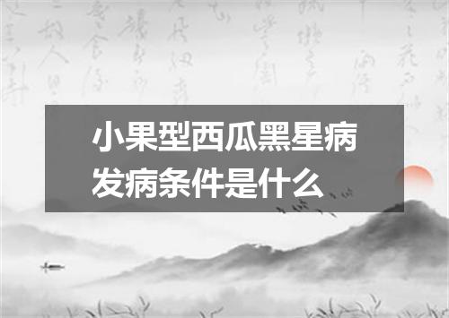 小果型西瓜黑星病发病条件是什么