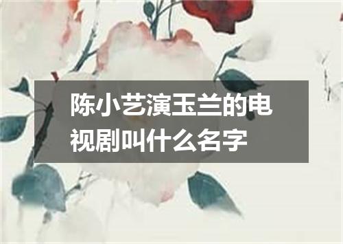陈小艺演玉兰的电视剧叫什么名字