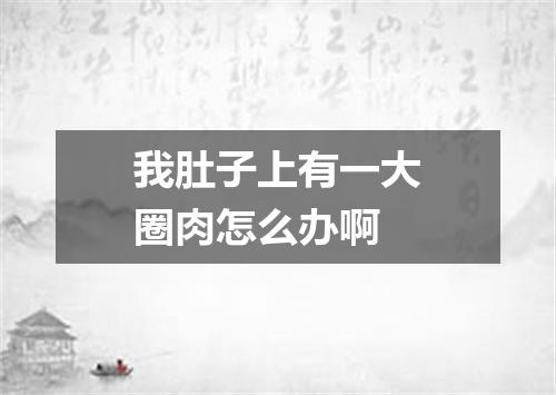 我肚子上有一大圈肉怎么办啊