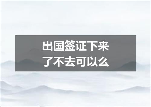 出国签证下来了不去可以么