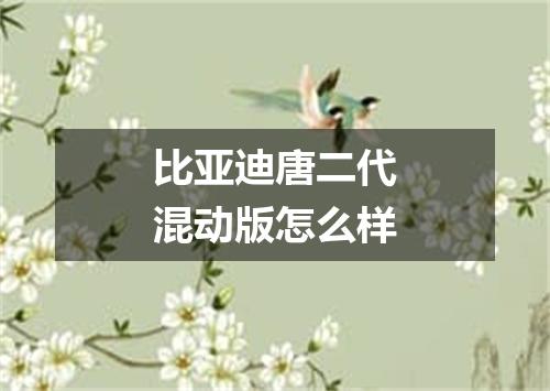 比亚迪唐二代混动版怎么样