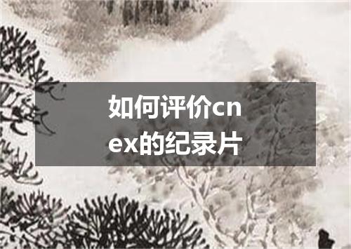 如何评价cnex的纪录片