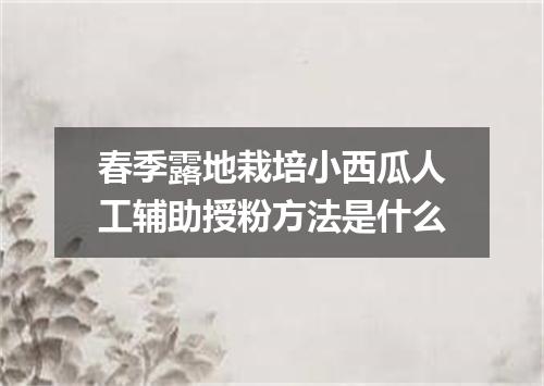 春季露地栽培小西瓜人工辅助授粉方法是什么