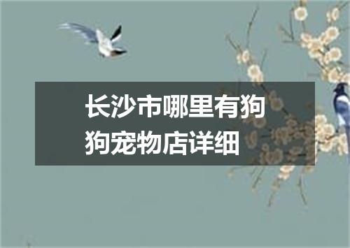 长沙市哪里有狗狗宠物店详细