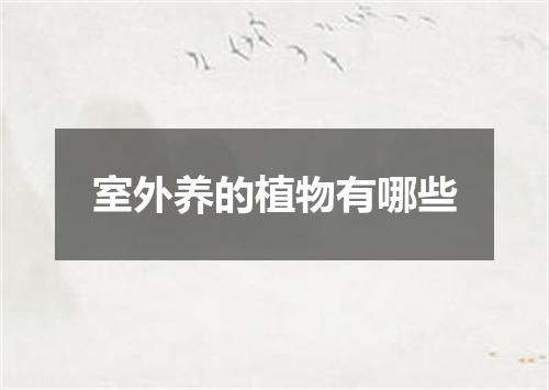 室外养的植物有哪些