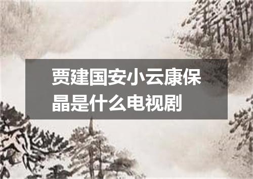贾建国安小云康保晶是什么电视剧