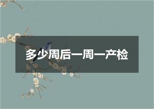 多少周后一周一产检