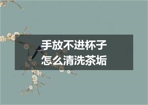 手放不进杯子怎么清洗茶垢