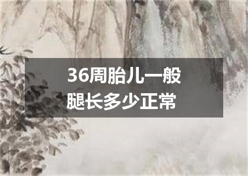 36周胎儿一般腿长多少正常