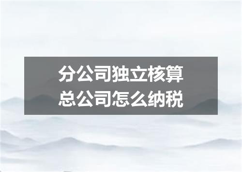 分公司独立核算总公司怎么纳税