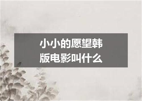 小小的愿望韩版电影叫什么