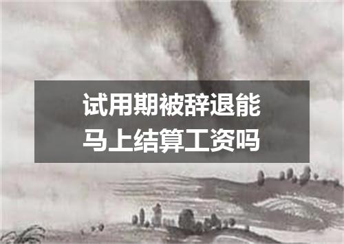 试用期被辞退能马上结算工资吗