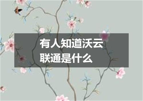 有人知道沃云联通是什么