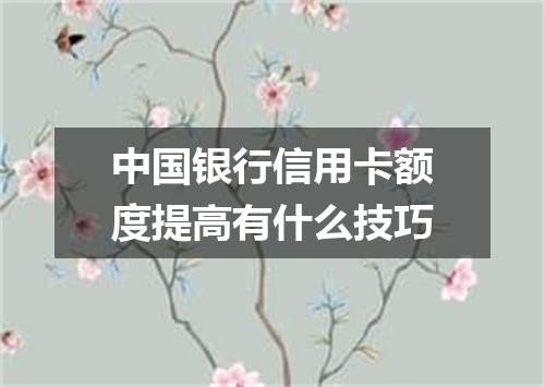 中国银行信用卡额度提高有什么技巧
