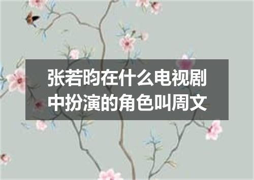 张若昀在什么电视剧中扮演的角色叫周文
