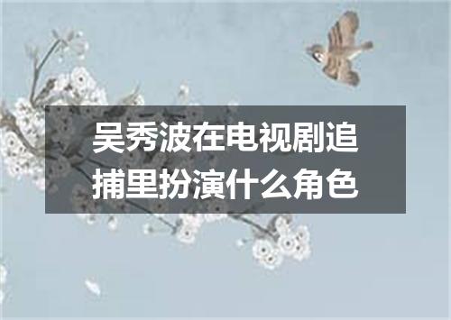 吴秀波在电视剧追捕里扮演什么角色