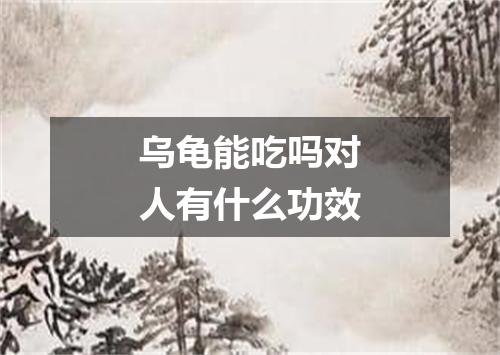 乌龟能吃吗对人有什么功效