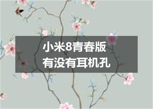 小米8青春版有没有耳机孔