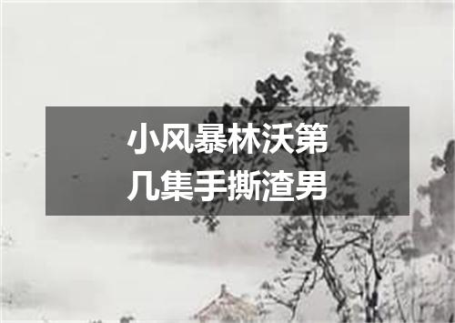 小风暴林沃第几集手撕渣男