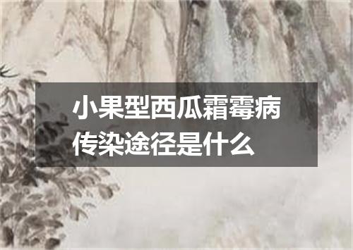 小果型西瓜霜霉病传染途径是什么
